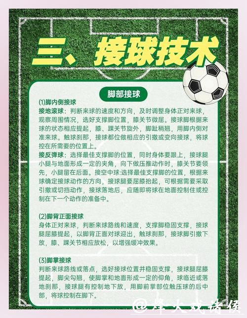 全面解读世界杯下注平台的功能与优势